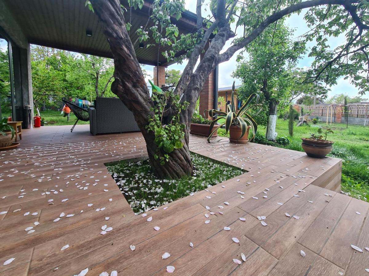 Savanna Guest House Dedoplis Tskaro Luaran gambar
